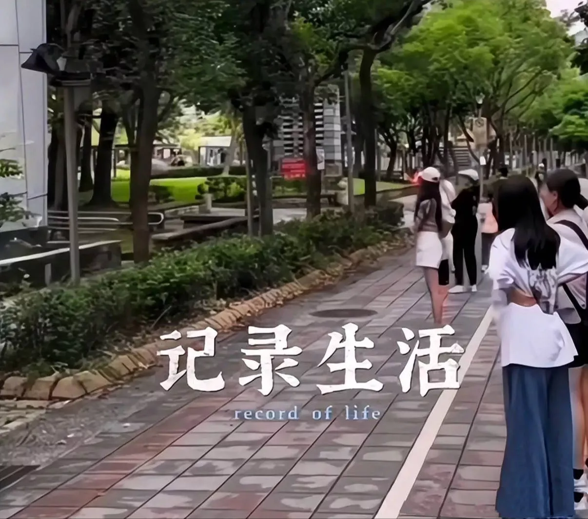 文章配图-8