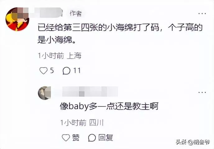 文章配图-19