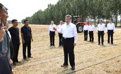 习近平田间考察夏粮生产