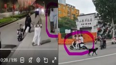 中国社会乱象 大街抢人“竟无一人是男儿”
