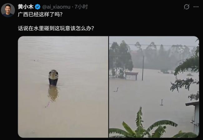 恐怖：广西养殖场被冲垮 大量眼镜蛇外逃