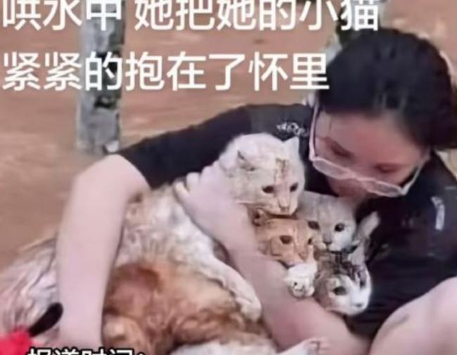 3巨狮惨被活活淹死  惊悚画面曝光