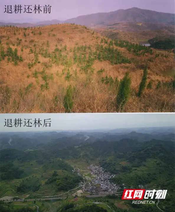 图源见水印