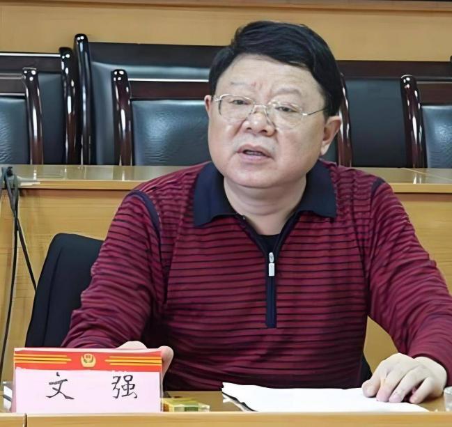 他是文强的儿子,16年后他的人生现状如何 他是文强的儿子,16年后他的人生现状如何