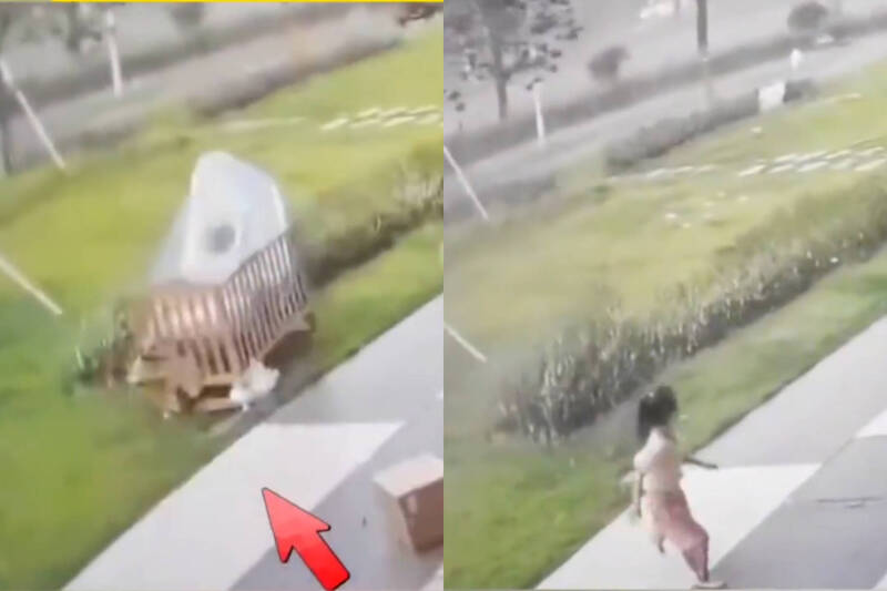 中国广东深圳1名6岁女童被强风连人带床卷走后，从草地自行爬起跑回室内。（本报合成，撷取自微博）