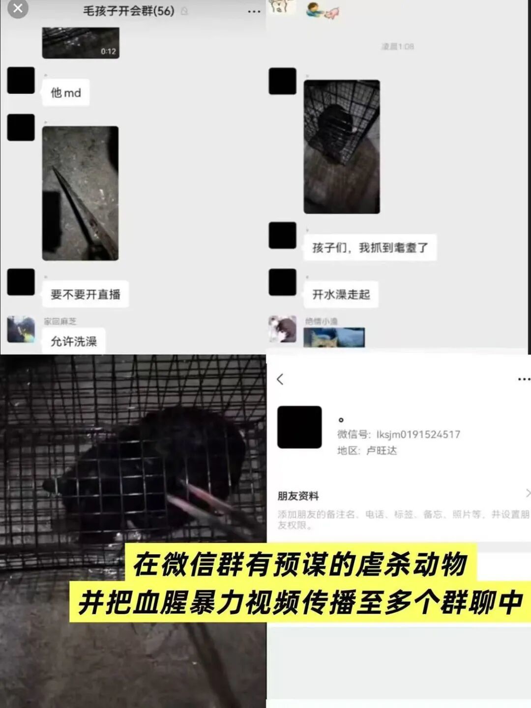 炸群行为