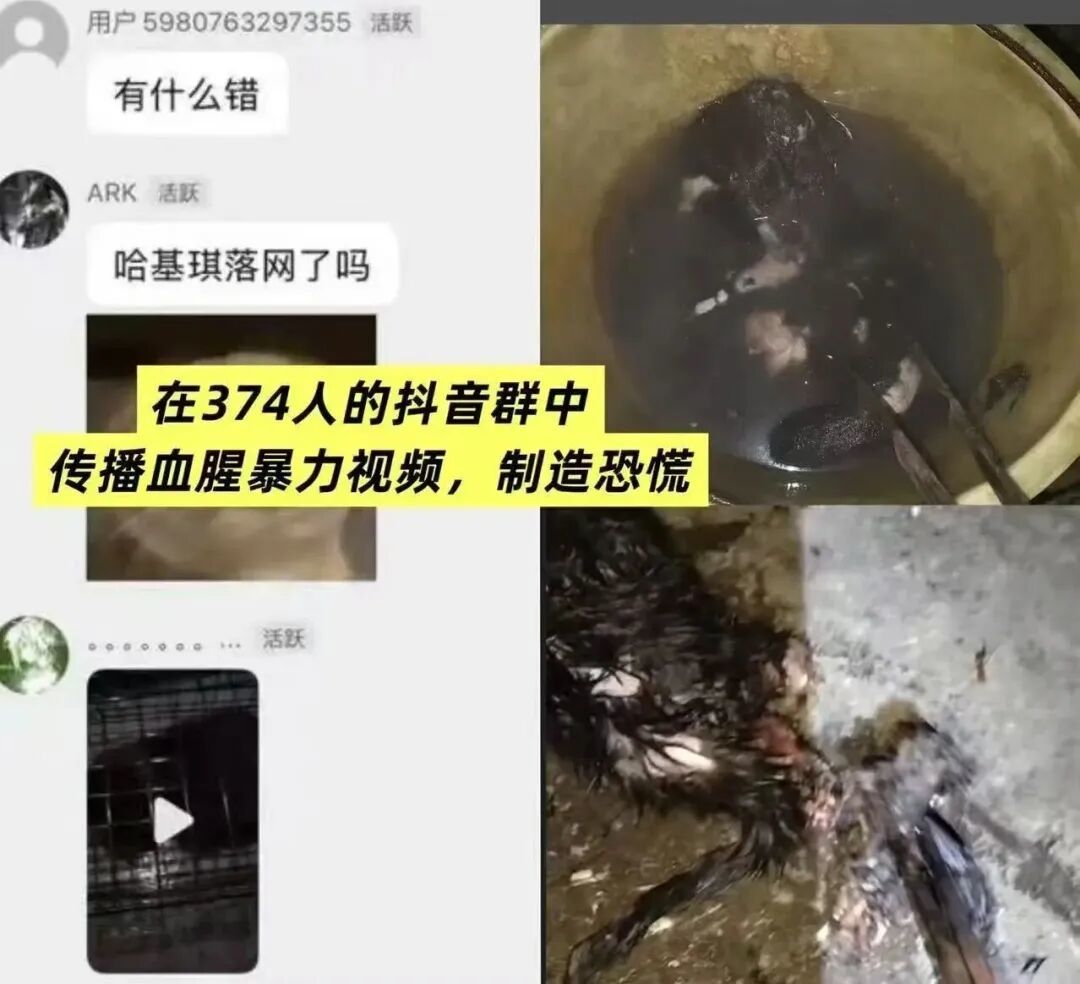 成为卧底需要有足够的心理承受能力